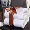 Venta al por mayor de fábrica Edredones para Primavera Otoño Invierno Individual Doble Ropa de Cama para Dormitorio de Estudiantes Edredón de Aire Acondicionado Engrosado Cálido Edredón de Regalo Núcleo de Edredón