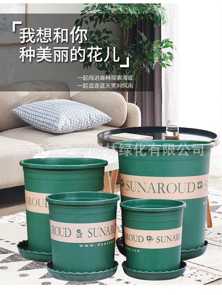 详细1.JPG
