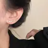 Brincos Exquisitos de Zircônia Rai Diamante Acessórios Femininos Nicho Luxo Leve Brincos de Alta Qualidade Brincos Elegantes Estilo Coreano Novo Lançamento 2025