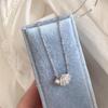 Collar de Concha de Circonita de Lujo Ligero Estilo Coreano para Mujer, Diseño de Nicho Simple con un Estilo Minimalista de Alta Gama, Versátil Cadena para Clavícula