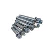 Tornillo de Expansión Estándar Nacional Tornillo de Expansión Galvanizado Tornillo de Expansión M6-M24 Metal Tornillo de Expansión Externa Disponible en Stock