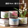 Vaso de flor de suculenta em cerâmica com prato, oferta especial, diâmetro grande, tamanho grande, vaso criativo para suculentas de casa