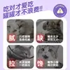 Amostra de comida úmida para gatos refeição principal, petiscos para gatos filhotes, tiras de frango para suplementar a nutrição, caixa grande com 24 latas