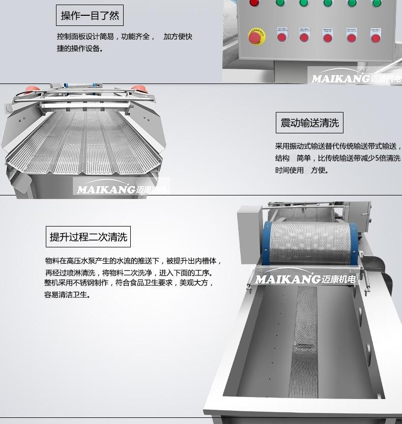 涡流蔬菜清洗机_10.jpg