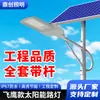 Luces Solares para Calle de Grado de Ingeniería, Luces para Jardín de Exterior, Nuevas Luces de Iluminación de Alto Poder Ultra Brillantes para Hogares Rurales, Luces para Calle de Carretera