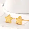 Pendientes Estrella de Borde Flash 5G Estrella de Cinco Puntas Pendientes Sencillos