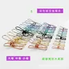 Tamaño grande, mediano y pequeño 8 colores pinza para peces pequeños pinza de resorte de alambre de acero pinza para calcetines pinza para ropa pinza para alimentos Transfronterizo Fuente punto
