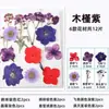 Marcadores de Libros de Flores Secas, Espécimenes de Plantas, Película de Sellado de Plástico, Colección Otoñal de Hojas de Arce, Materiales para Manualidades, Pegatinas Transparentes de Hojas, Borlas