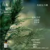 Líquido de Relleno de Aceite Esencial de Plantas de Aromaterapia de 15 ml para Difusor de Piedra de Yeso, Adornos Aromáticos, Especializado para Uso en Interiores, Fragancia de Alta Gama y Larga Duración