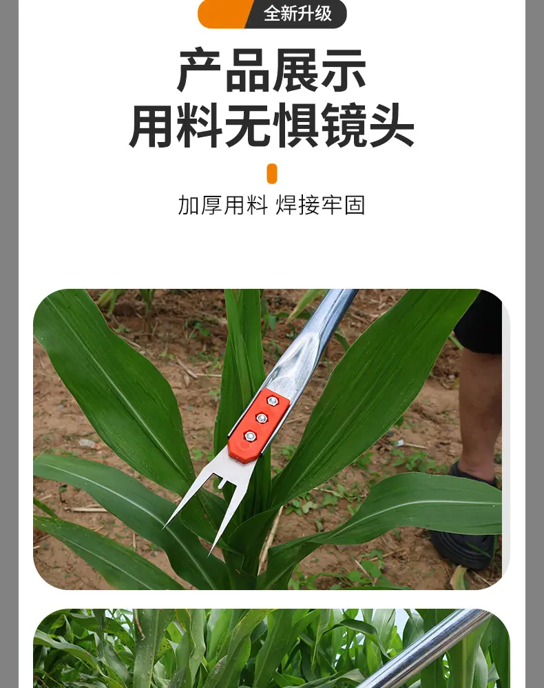详情_14.jpg