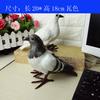 Simulación de paloma, pluma de paloma, paloma de la paz 1:1 simulación de utilería de paloma animal