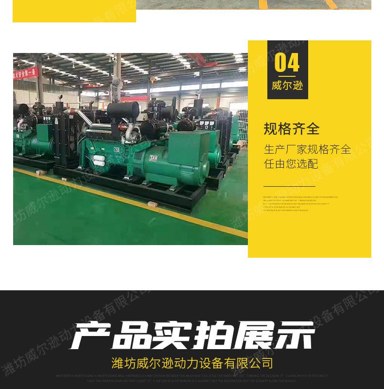 200kw柴油发电机组_06.jpg