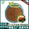 Extracto de Nuez Moscada, 1 kg de Extracto de Nuez Moscada, Envío Gratis, Mayoreo, Calidad Confiable, Grandes Cantidades Disponibles para Negociación