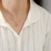 Colar de Aço Titânio com Pingente Elegante e Luxuoso em Forma de Leque Vazado Decorado com Diamantes para Mulheres, Corrente de Clavícula de Nicho de Alta Qualidade Acessório de Moda