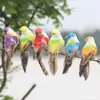 Pájaro de Plumas de Simulación Pájaro Pequeño de Colores Pájaro de Espuma Planta Verde Atado Jardinería Decoración de Jardín Pastoral Manualidades L15