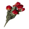 Materiais para Artesanato DIY de Flores Eternas no Atacado, Flores Secas, Frutas Secas, Rodelas de Laranja, Pinhas, Adereços para Fotografia de Flores, Materiais para Artesanato DIY de Jardim de Infância