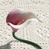 Lírio Calla Artificial Haste Única Borracha Macia Mini Lírio Calla Flor Falsa Casa Casamento Fotografia Decoração Suave Flor