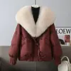 Jaqueta de Algodão Estilo Novo Inverno 2026 para Mulheres, Curta e Estilosa, Rejuvenescedora, Casaco de Algodão Soltinho com Gola Grande de Pelo, Jaqueta Acolchoada de Algodão Espessa A9369