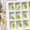 Série verde fresca pequena Sino de pássaro esmaltado colorido tcheco doméstico folhas feitas à mão pintadas de ouro material de acessório para pulseira DIY