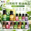 Artemísia Coreana, Gengibre e Óleo Essencial de Planta Rosa Hidratante e Hidratante Óleo Essencial Composto para Massagem Corporal 10ml Atacado do Fabricante