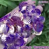 Escama de Dragón Sirena Iridiscente Concha Grande 40mm Lentejuelas Plegadas DIY Siete Colores Deslumbrante Escama de Pez Forma de Abanico Cuentas