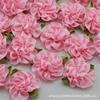 Fita de Poliéster de 3cm em Estoque com Folhas Pequena DIY Feita à Mão Fita de Cetim com Folha Flores de Cravo Decoração de Tecelagem Feita à Mão Acessórios