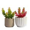 Decoración de planta suculenta de simulación, planta en maceta, adornos de planta verde, Loto de Jade, cadena de dinero, grano de fruta, plato combinado de flores de plástico