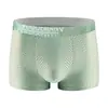 Roupa Íntima Masculina de Seda de Gelo, Shorts Boxer de Seda de Gelo com Malha Fina Respirável, Cuecas Masculinas Confortáveis de Cor Sólida Peça Única