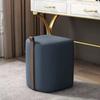 Taburete de Maquillaje Reposapiés Taburete para Cambiar Zapatos Estilo Lujo Ligero Moderno Sencillo Taburete de Tocador Silla de Maquillaje para Dormitorio del Hogar Taburete de Mesa de Café Popular en Internet