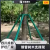Estruturas de Suporte Personalizadas para Árvores, Hastes de Suporte para Paisagismo de Jardins, Suportes para Árvores Grandes, Fixadores, Grampos para Árvores, Suportes para Árvores de Jardim