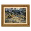 Pintura al Óleo Estilo Jardín de Olivos Campo de Van Gogh con Marco Dorado Vintage Sala de Estar Entrada Arte de Pared con Marco Pintura Decorativa Decoración de Pared para Casa de Huéspedes