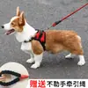 Guia para Cachorro, Coleira Peitoral para Pet, Coleira Osso, Corrente Explosiva para Cachorro, Pequeno, Médio e Grande Porte, Suprimentos para Pets