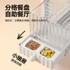 Gadget de doble uso para loro: comedero y bebedero transparente panorámico exterior para alimentar periquitos y ninfas en jaulas de pájaros