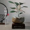 Bonsái de Sándalo Rojo de Hoja Pequeña Árbol en Maceta Planta Flor de Interior Es Fácil de Mantener en Todas las Estaciones, Sala de Estar Balcón Oficina Escritorio Planta Verde