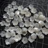 Tazón de Concha Flor de Concha Tazón de Cinco Pétalos Flor de Tazón Accesorios para Pasadores de Cabello Caballo Blanco Mariposa Frijol Amarillo Frijol Casco Tornillo Flor de Tazón Múltiples Tamaños