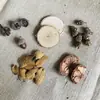 Accesorios de Fotografía Set Retro Bosque Bebé Piña Madera Virutas de Madera Tienda en Línea Adornos para Fotos Accesorios de Disparo Adornos