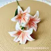 Lírio de Três Cabeças Flor Impressa em 3D Decoração de Mesa de Sala de Jantar de Sala de Estar Arranjo de Flores de Parede de Fundo Flor Artificial Jardim de Monet Fundo 3D Decoração de Casamento