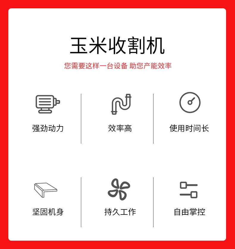 玉米4_01_02