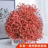 Yunnan Kunming Dounan Céu Estrelado flores secas naturais pesando Jin vendendo buquê grande de sala de estar fresca para decoração de casa frete grátis