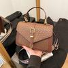 Textura de alta qualidade Moda Tecido Padrão Portátil Pequena Bolsa Quadrada Feminina 2025 Primavera Nova Chegada Estilo Ocidental Bolsa de Ombro All-match Bolsa Crossbody