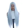 Peluca plateada gris con encaje frontal para mujer, cabello largo y liso con raya en medio, peluca elegante de cabeza completa hecha de fibra sintética de alta temperatura