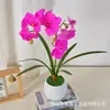 Película de Textura Impresa en 3D Simulación Flor Phalaenopsis Planta en Maceta Lujo Ligero Decoración de Sala de Estar de Casa de Gama Alta Adorno de Flor Artificial