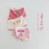 N105 Atacado de Roupas Íntimas Infantis 2025 Primavera Letra Urso Roupa Íntima de Bebê Desenho Algodão Roupas Íntimas para Meninos e Meninas