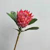 Flor Rey Sudafricana Simulada, Flor Princesa Sudafricana, Accesorios para Fotografía, Arte Floral para el Hogar, Decoraciones Simuladas para Sesiones, Venta al por Mayor