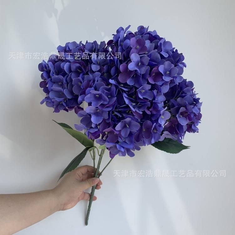 微信图片_20230815151440_副本