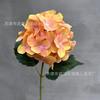 3d sentir hortênsia casa vestir-se flor artificial casamento casamento estrada chumbo flor Row ao ar livre fotografar fotografia adereços flor falsa