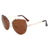 Gafas de Sol Sin Marco 2026 Nueva Moda Versátiles Marco Grande Uso Diario para Mujer Protección Solar Estilo Europeo y Americano Gafas de Sol Ojo de Gato