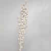 [Edelweiss] Flor Seca Edelweiss Edelweiss Decoração de Casa Casamento Arranjo de Flores Adereços para Fotografia Flor Real