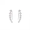 Pendientes de Zirconia Osa Mayor Transfronterizos, Pendientes de Diamante de Lujo Ligero y de Alta Gama, Pendientes de Oruga, Fila de Diamantes, Pendientes Exquisitos