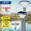 Cabezas de Lámparas para Césped y Paisajismo para Exteriores al por Mayor para Zonas Residenciales y Villas, Cabezas de Lámparas Solares LED para Jardín para Exteriores de Estilo Chino Moderno